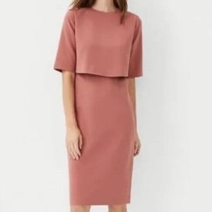 Ann Taylor Overlay Sheath Dress NWT 0P
